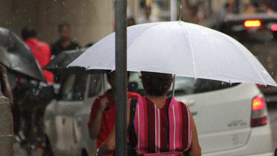 8.jan.2020 - Pedestre usa guarda-chuva extra-grande para se proteger da chuva em São Paulo - Willian Moreira/Futura Press/Estadão Conteúdo