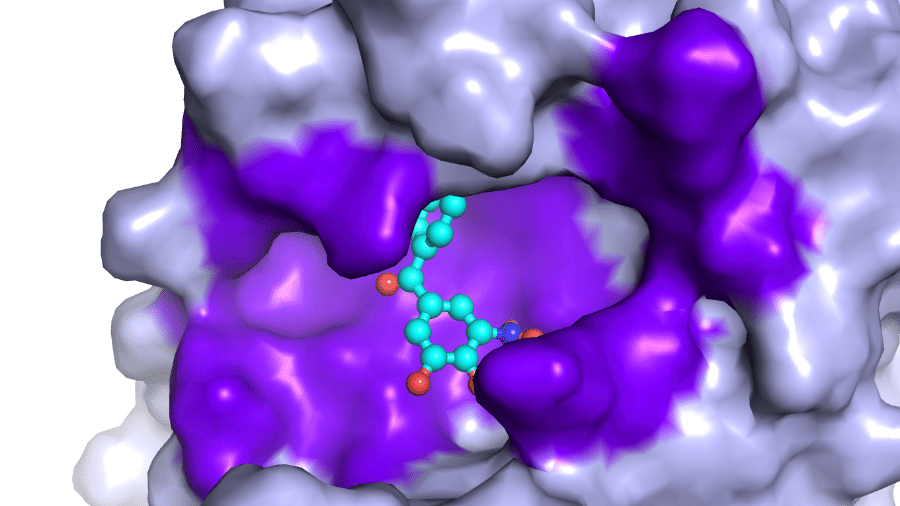 Região em roxo mostra onde ocorrem reações principais do coronavírus, CNPEM busca medicamento inibidor - CNPEM