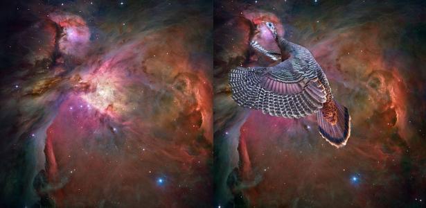 NASA: Imagem de nebulosa capturada pelo Hubble é comparada a peru