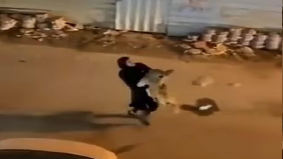 Mulher é vista carregando leão de estimação pelas ruas de Sabahiya, no Kuwait - Reprodução