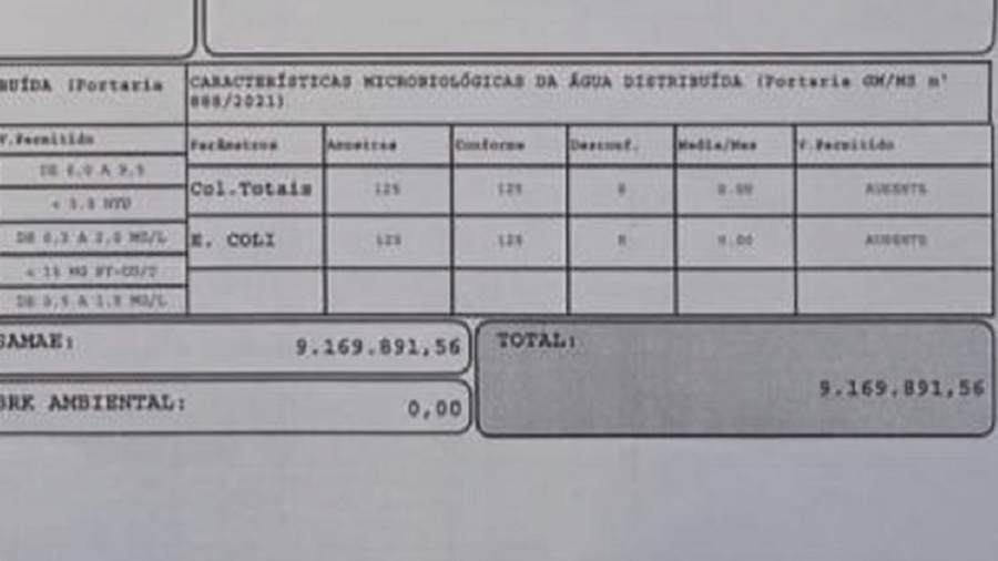 Conta de água foi enviada à consumidora no valor de R$ 9.169.891,59 em Blumenau - Reprodução/Twitter