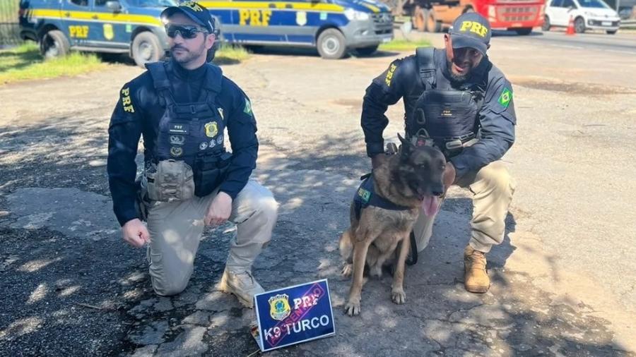 O cão farejador Turco, de 9 anos, se "aposentou" dos serviços prestados à Polícia Rodoviária Federal (PRF) em Goiás. - Divulgação/PRF