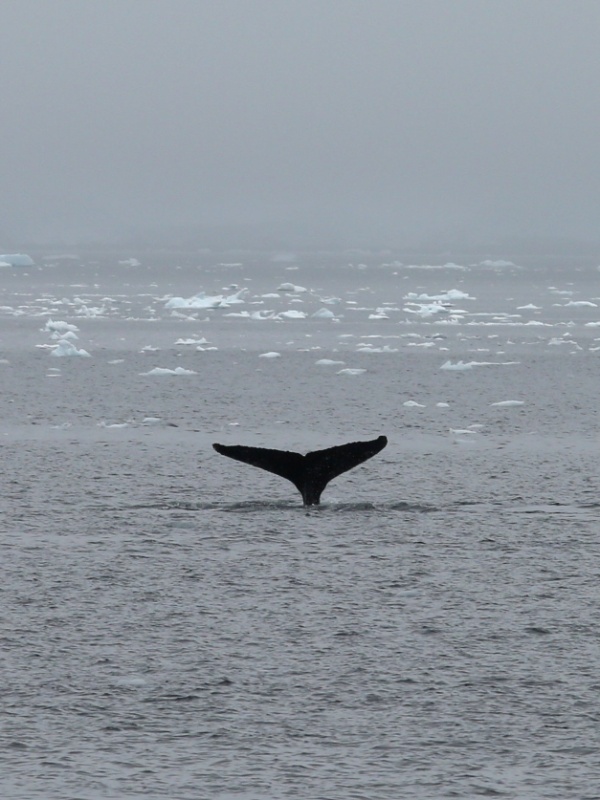 Alexandre Meneghini/Reuters