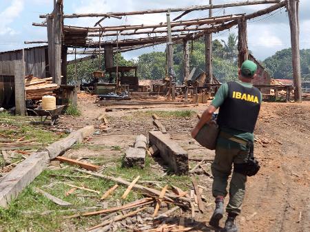 Servidores do Ibama alegam que nova regra levou à paralisação na aplicação de multas contra infratores ambientais - Fernando Werneck/Ibama