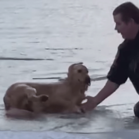 Bombeiro resgata cão de lago congelado no Texas - Reprodução/Facebook