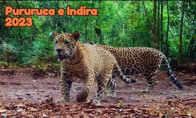 Pururuca aparece 'adolescente' em trecho de vídeo do ano de 2023 Pururuca aparece 'adolescente' em trecho de vídeo do ano de 2023