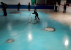 Após críticas, parque japonês fecha pista de patinação sobre 5.000 peixes congelados - AFP