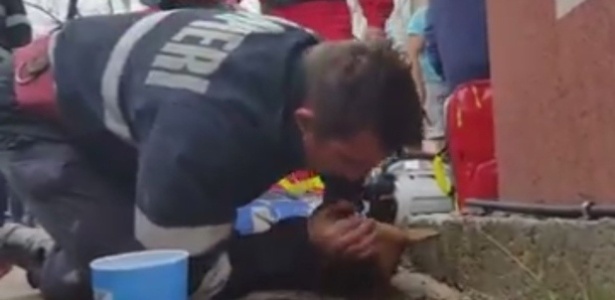 O bombeiro tenta salvar o animalzinho após o resgate - Reprodução/Facebook