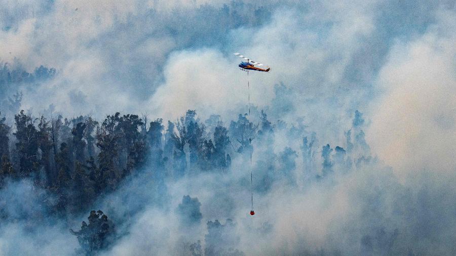Turistas e bombeiros foram forçados a fugir de vastos incêndios no sudeste da Austrália, quando uma onda de calor reacendeu as chamas voltando a devastar as florestas do país - Department of Environment, Land, Water and Planning/AFP