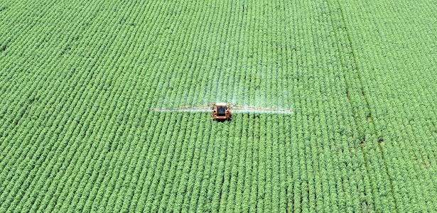 Avançar com o Plano Nacional de Fertilizantes é questão de competitividade