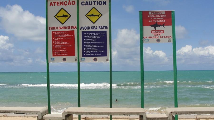 Placas espalhadas pela orla de de Olinda informam os banhistas do risco de ataques de tubarão - Prefeitura de Olinda