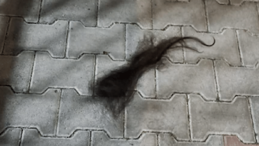 A adolescente teve os cabelos arrancados durante a briga - Reprodução/Fanpage.it