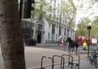 Cavalos do exército fogem pelas ruas de Londres e ferem ao menos 4 pessoas