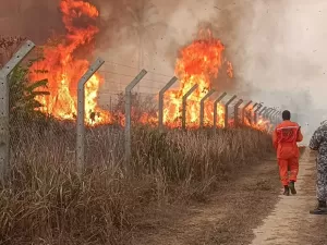 Brasil fecha agosto com maior número de focos de incêndio em 14 anos