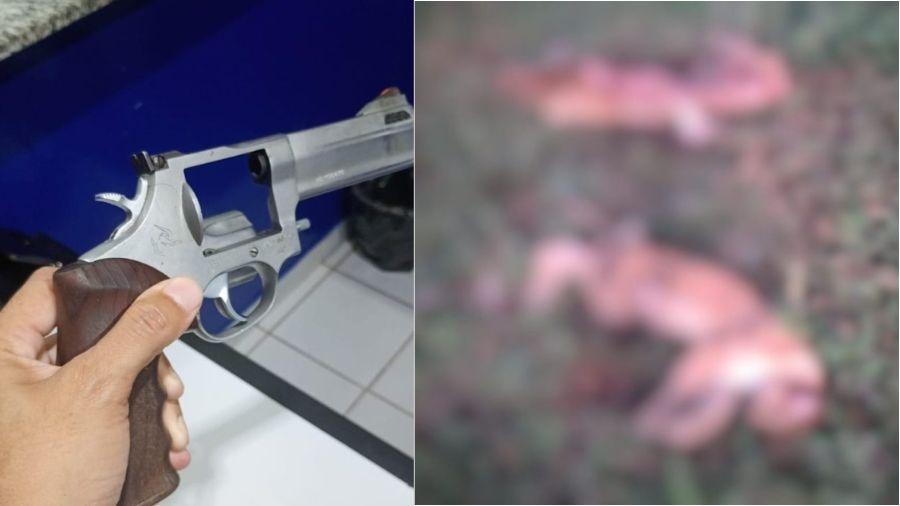 Homem é suspeito de matar as onças-pardas com um revólver de grosso calibre e foi denunciado anonimamente por caça ilegal na região Homem é suspeito de matar as onças-pardas com um revólver de grosso calibre e foi denunciado anonimamente por caça ilegal na região