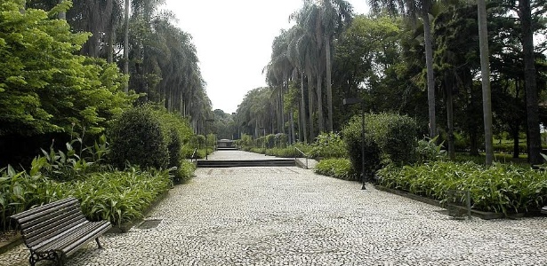 Córrego Pirarangaua, oculto sob uma alameda no Jardim Botânico de São Paulo - Jardim Botânico de São Paulo/Divulgação - Jardim Botânico de São Paulo/Divulgação