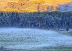 Geada na serra de Santa Catarina em pleno verão; veja fotos - Mycchel Legnaghi / São Joaquim Online