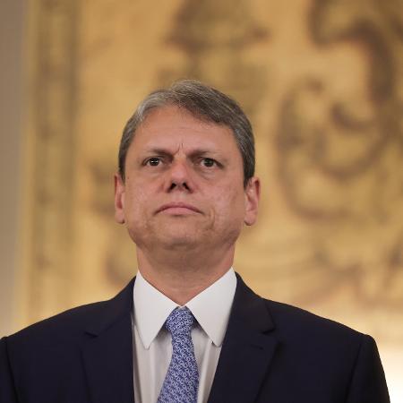 Governador de Sâo Paulo, Tarcísio de Freitas