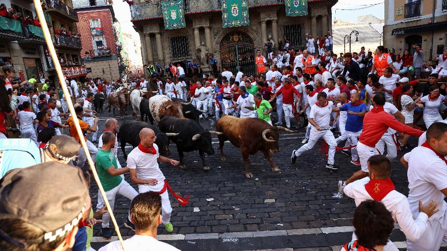 Foliões correm com touros da La Palmosilla no festival de San Fermin, em Pamplona Foliões correm com touros da La Palmosilla no festival de San Fermin, em Pamplona