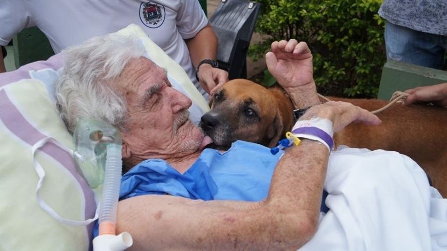 Arthur Santaela, 86, reencontra seu cachorro, o vira-lata Sheike - Divulgação/ Fundação Padre Albino