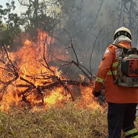 Incêndio atinge área de proteção ambiental do Palácio do Jaburu, residência oficial do vice-presidente da República - Corpo de Bombeiros DF