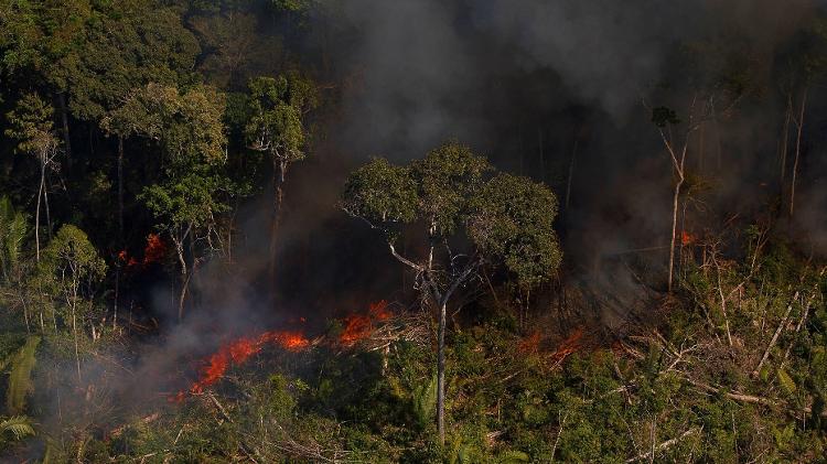 Novo governo começa na 4ª | Política ambiental pode transformar Brasil em vilão para os EUA de Biden