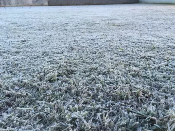 7ºC em SP e chance de chuva congelada no Sul: o que esperar da frente fria