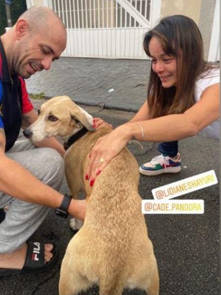 Após comoção, cadela Pandora é encontrada em São Paulo - Reprodução/cade.pandora/Instagram