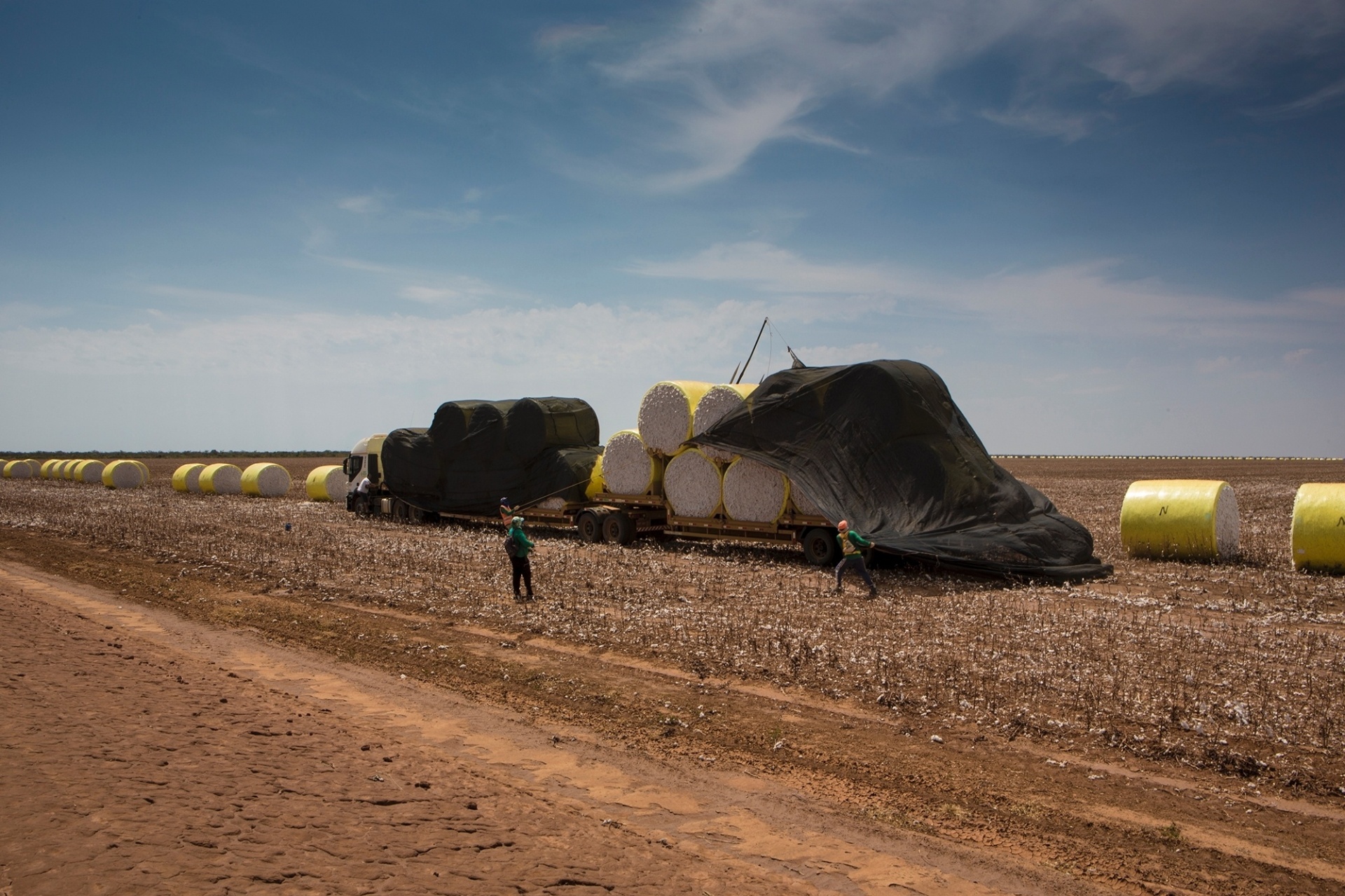 Fernando Martinho/Repórter Brasil