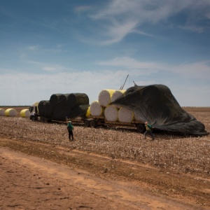 Fernando Martinho/Repórter Brasil