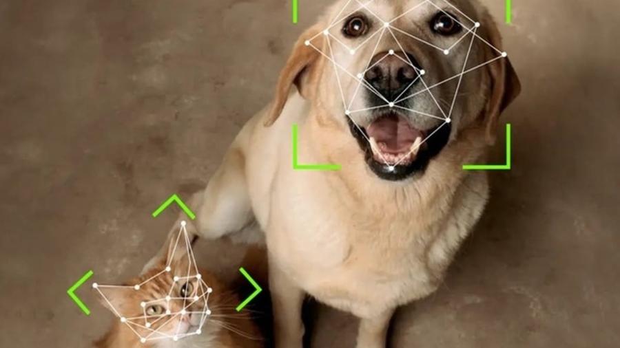 SImulação de reconhecimento facial de cachorro e gato, pela porta automática Petvation - Divulgação/Petvation