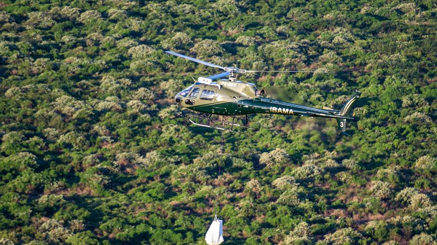 O aluguel de helicópteros para o Ibama é uma das despesas bancadas pelo Fundo Amazônia - Divulgação/Ibama