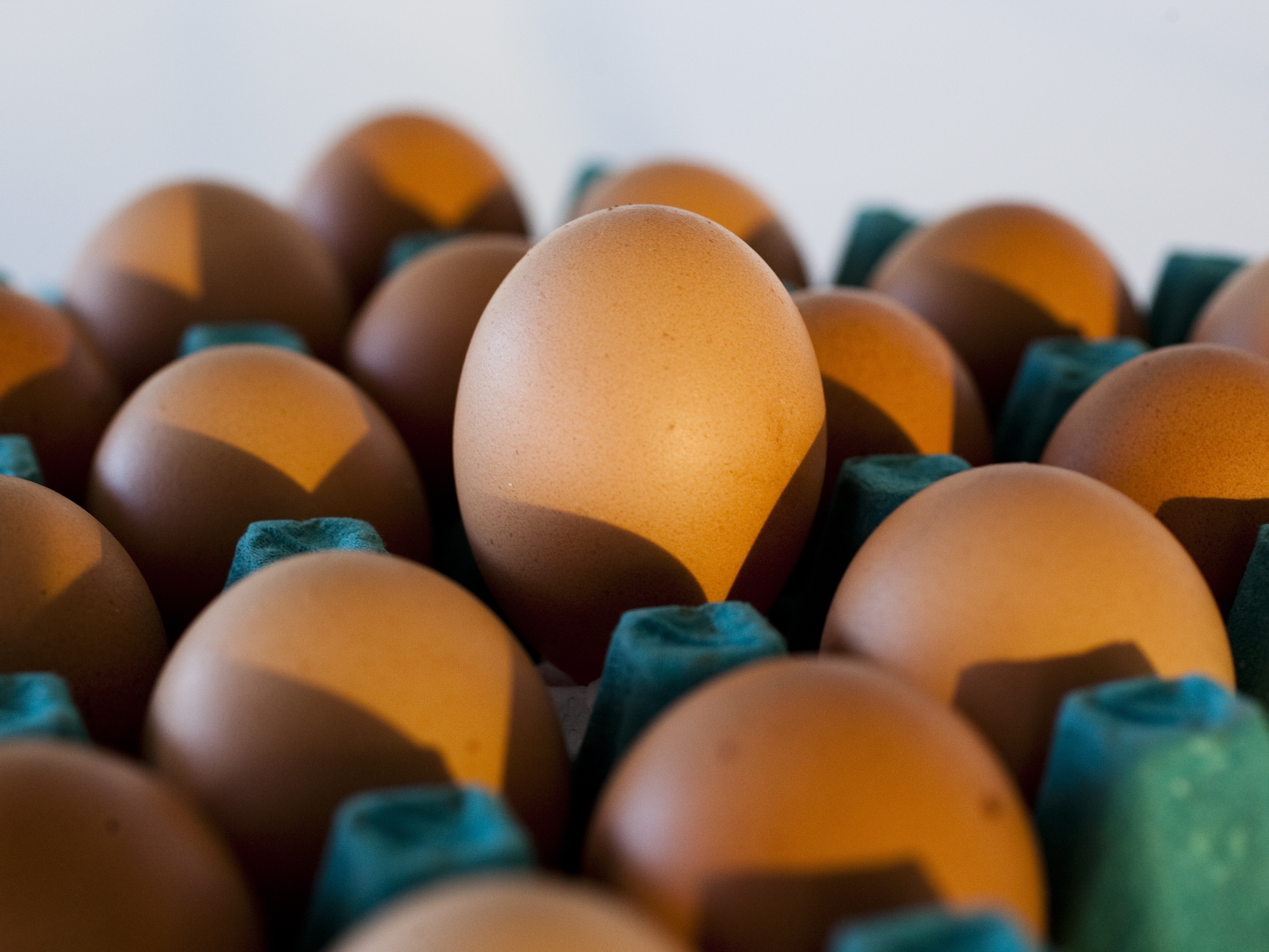 Importações de ovos pelos EUA disparam; Brasil cresce 93%