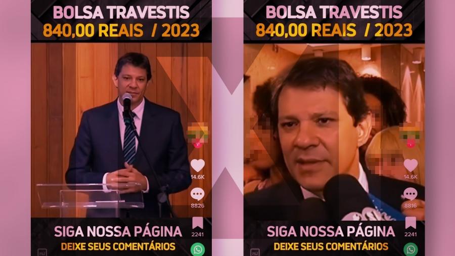 13.abr.2023 - É enganoso post que afirma ser de 2023 vídeo do atual ministro da Fazenda, Fernando Haddad (PT), anunciando o lançamento de um programa de auxílio a pessoas trans e travestis - Projeto Comprova