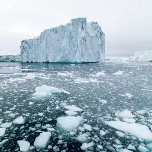 Getty Images/iStockphoto