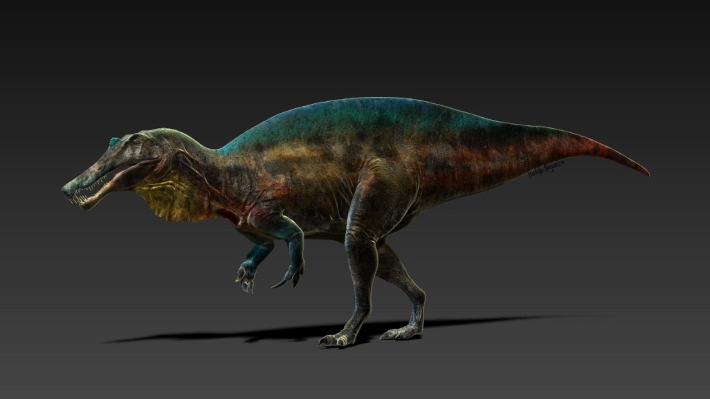 Rodolfo Nogueira / Divulgação