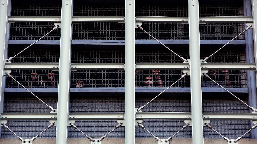 Detentos batem nas janelas dentro do Centro de Detenção Metropolitano enquanto um protesto acontece no Brooklyn - Yana Paskova/The New York Times