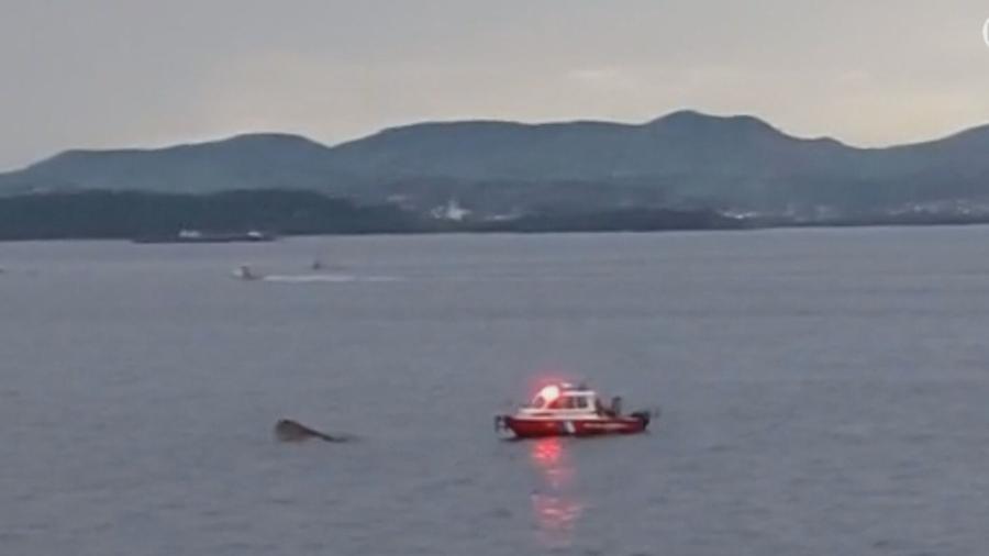 Embarcação afunda na Baía de Guanabara, no Rio - Reprodução/GloboNews