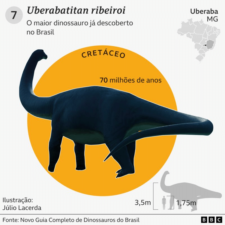 Mais antigo dinossauro pescoçudo é brasileiro, dizem pesquisadores