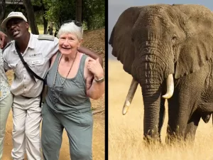 Turista dos EUA é morta por elefante em safári na Zâmbia