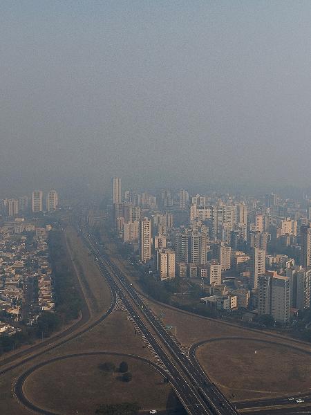 Fogo em vegetação perto de Ribeirão Preto (SP) em 24 de agosto de 2024