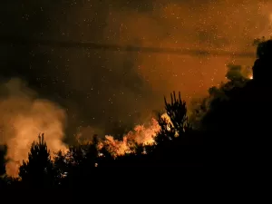 Incêndio destrói 2 mil hectares na Patagônia; governo decreta emergência