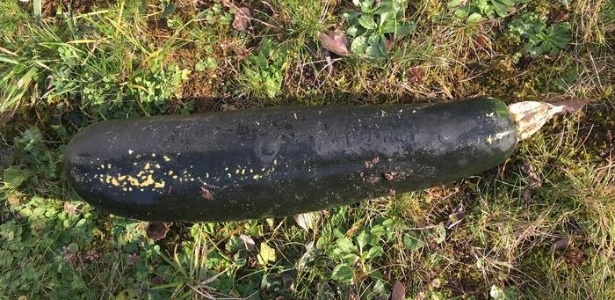 A "abobrinha explosiva" encontrada no quintal de um idoso no sul da Alemanha - picture-alliance/dpa/Polizeipräsidium Karlsruhe