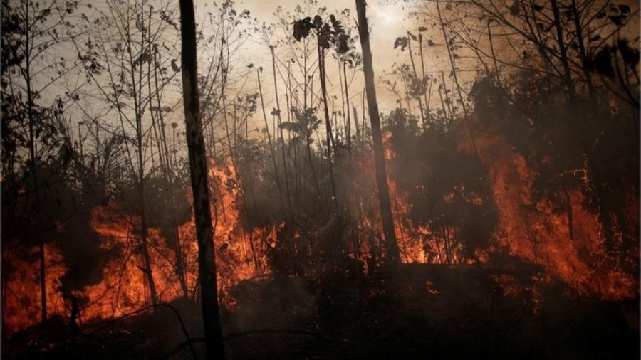 Três cidades do Pará registraram aumento de queimada no chamado "Dia do Fogo": Novo Progresso, Altamira e São Félix do Xingu - Reuters