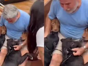 Vídeo mostra homem emocionado durante resgate de seus quatro cães no RS