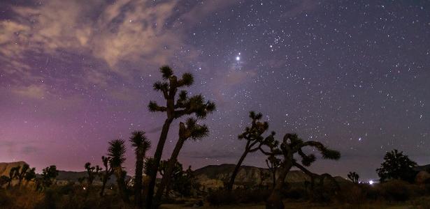 Chuva de meteoros Perseidas terá pico nesta semana: veja como assistir