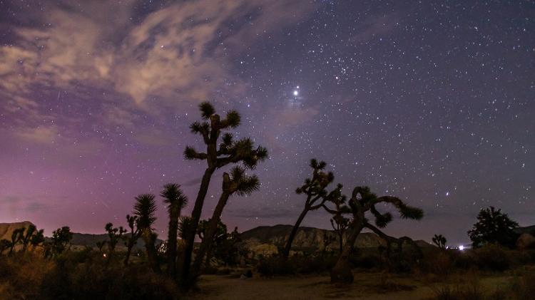 A aurora boreal ilumina o céu acima do Parque Nacional Joshua Tree durante a chuva de meteoros Perseidas, na Califórnia