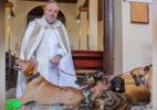 Padre põe pets para adoção em missa: 