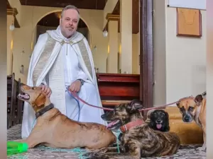 Padre põe pets para adoção em missa: 'São mais puros do que muitas almas'