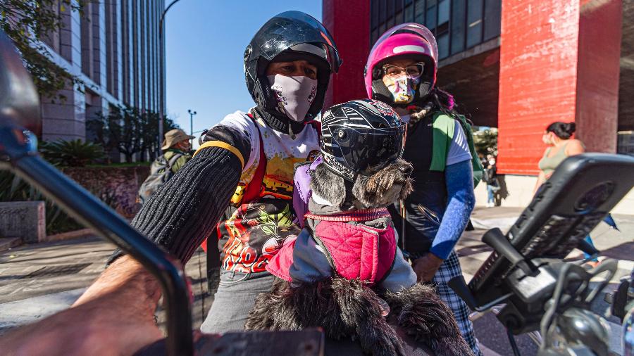 Manifestante leva cão para protesto realizado por entregadores de aplicativos na avenida Paulista - Anderson Lira/ Framephoto/ Estadão Conteúdo